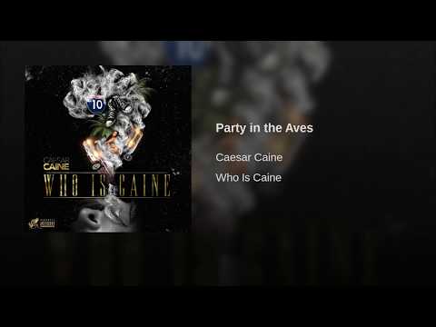 Party in the Aves by Caesar Caine