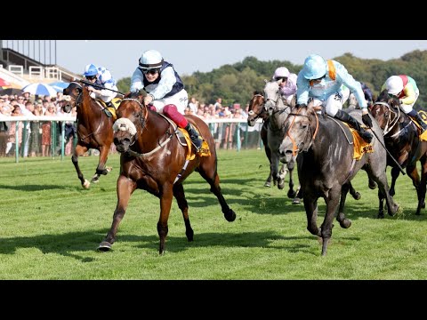 Regional reigns in Haydock's Sprint Cup as Shaquille flops