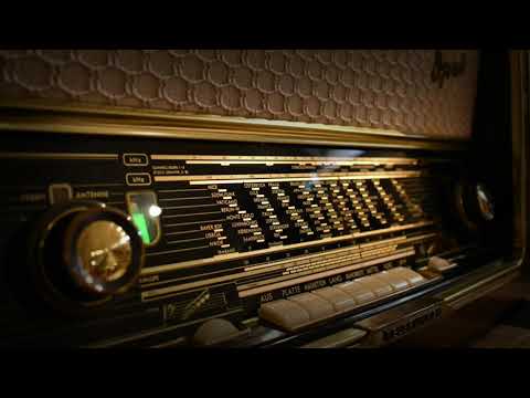 Hafsa Zyberi - Balluket e tua