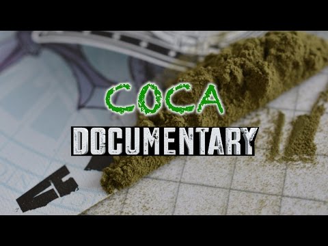 download lagu mp3 mp4 Coca Leaf Experience, download lagu Coca Leaf Experience gratis, unduh video klip Coca Leaf Experience