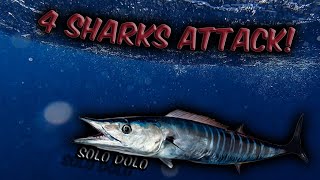 Solo Bluewater Battle with Ono and Shark Gang - Hawaii Spearfishing
