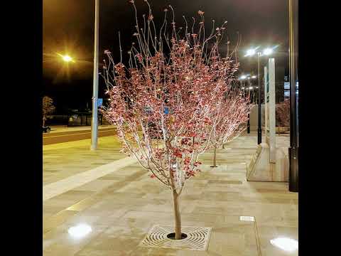 Soul Inspired House EP #082 - Balmy - October 2019