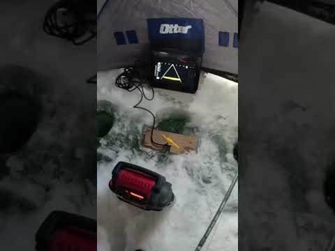 Please don't Spool me! #icefishing #pike #saskatchewan