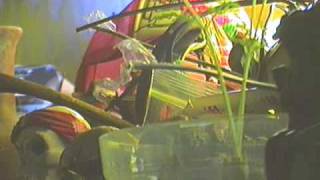 Banco de Gaia ~ Kincajou(Here Come The Norse Gods)