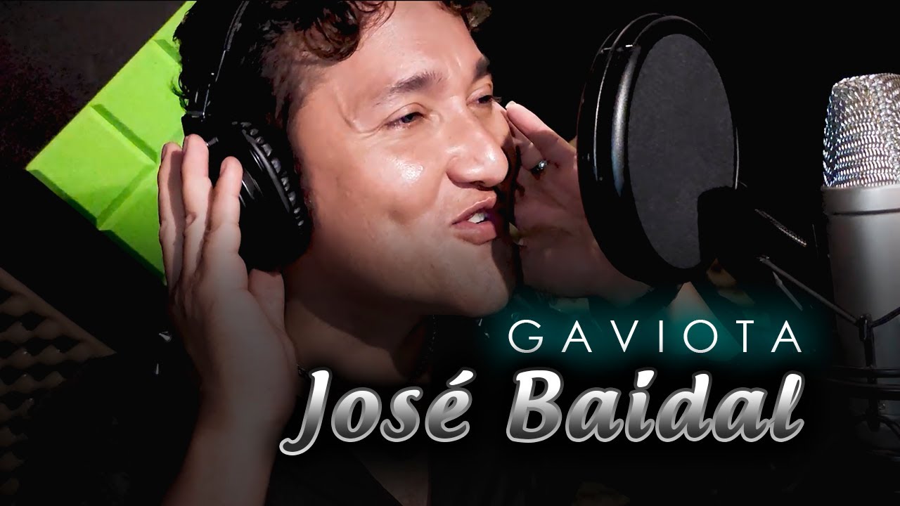 Imagen Gaviota - Jose Baidal Imagen Gaviota - Jose Baidal