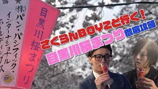 【満開！！】目黒川桜まつりを徹底攻略!