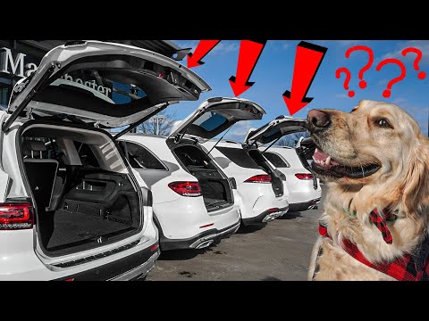 YouTube video about: What does mercedes do to help the dogs?