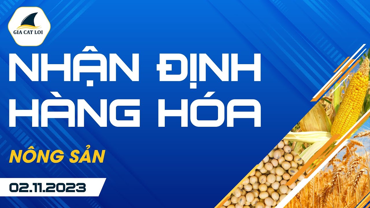 Nhận Định Hàng Hoá Nông Sản Ngày 02/11/2023