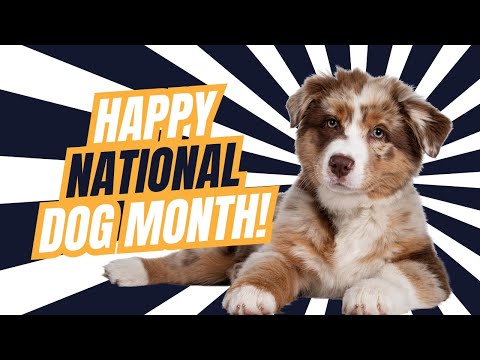 Happy National Dog Month from Alex, Tug, and DooDoo! #nationaldogmonth #dogs #dog
