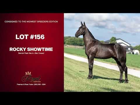 Lot 156. Rocky Showtime