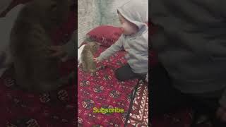 Download lagu Alfia plays with a cat. Subscribe. #alfia #music #remix mp3