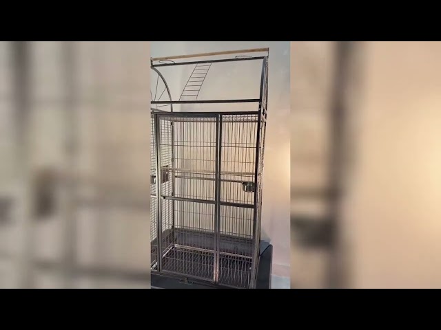 قفص ببغاء وطيور كبير رمادي مع عجلات ومنصة لعب