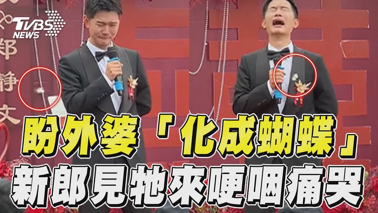 是妳嗎...新郎孫婚禮「白蝴蝶」停胸口 思親痛哭:外婆來了