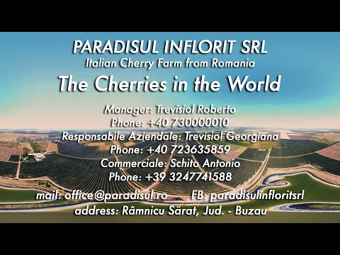 Paradisul Inflorit 2023: L' evoluzione