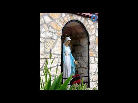 Pustelnia 27.11.2020 - Kazanie o. Daniela