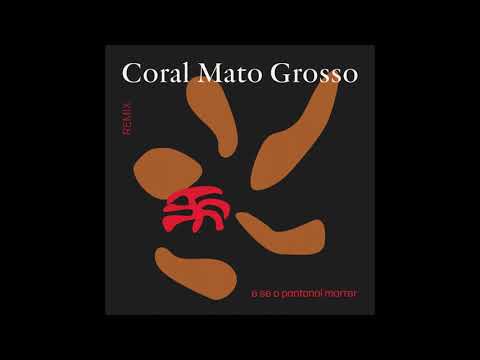 E Se O Pantanal Morrer