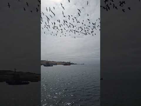 #caldera #decierto #atacama #suscribete