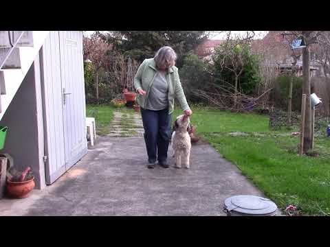 Das Change  Seitenwechsel hinter dem Menschen