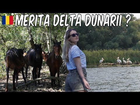 Cat ne-a costat un WEEKEND in DELTA DUNARII si ce AM PRIMIT de banii acestia!