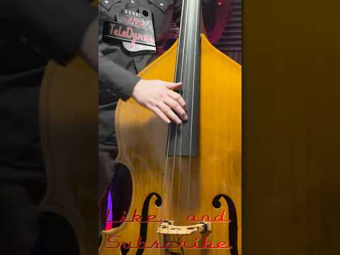 4 Basic Slap Techniques #rockabilly #basslesson #slapbass #uprightbass #shorts #youtubeshorts
