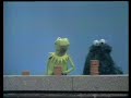 Sesame Street Kermit The Frog Cookie Monster Some More And Most Cookies