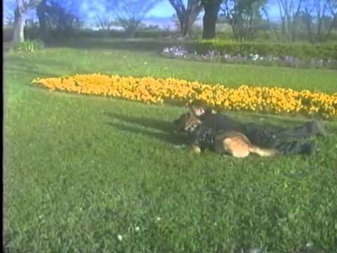 Ratejamento Tâtico k9