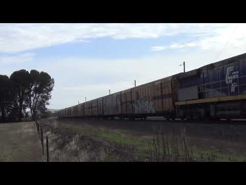 1PM9 with SCT 015 / CSRs 011 / 005 & CF 4403 at Maroona Vic. 4.3.2020