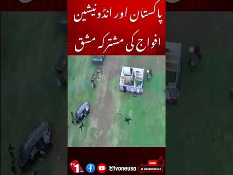 پاکستان اور انڈونیشین افواج کی مشترکہ مشقیں