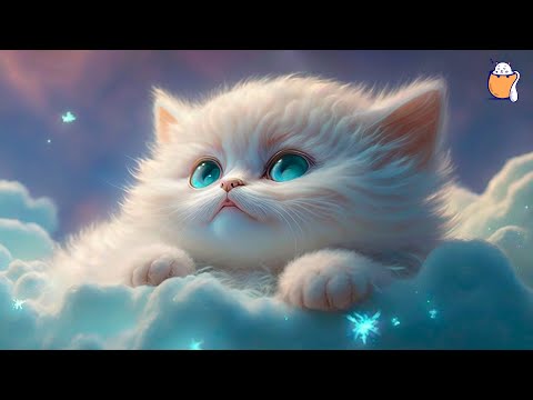 LONGEST EVER Music for Cats - 24 Hour Relaxation Lullaby! Anti Anxiety Music for Cats | Sleepy Cat