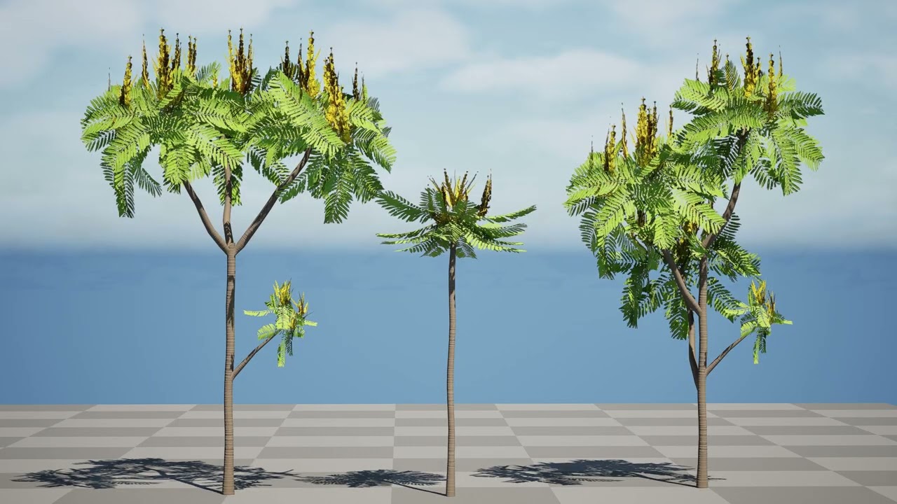 Brezilya Ateş Ağacı 3D Model