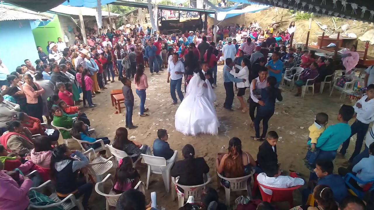 Fiesta de boda, plan de Hidalgo Papantla