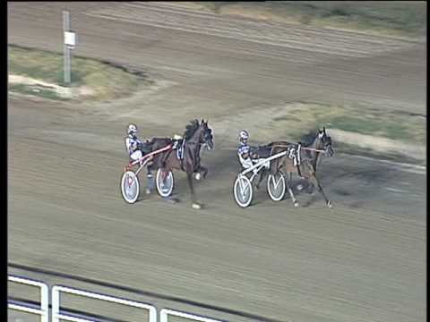 Trotto 27/07/2017 - 1ª prova di qualifica