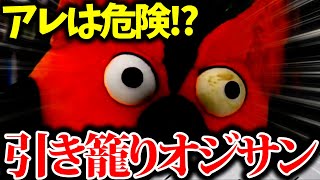 【アーカイブの危機!?】Pが知らない中西保志の世界【 ゆうせか 切り抜き 有隣堂しか知らない世界 】