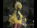 Sesame Street Don T Eat The Pictures You Re Gonna Be A Star