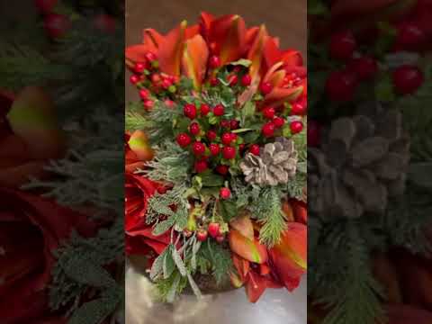 Christmas time in #london ❤️🎄❄️ | Rayane Mithun #shorts