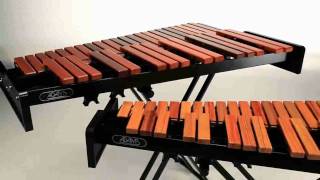 Video thumbnail for Adams Academy Series by Pearl Drums