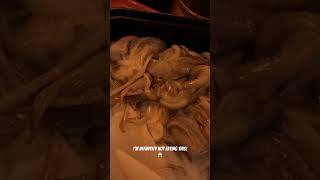 Would You Eat Squid? Not Me! | Adventures w/ Robdoesitall