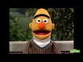 Sesame Street Elmo Shows Emotions With Zoe Bert And Big Bird