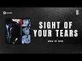 Sight Of Your Tears - When In Rome Lyrics Unofficial