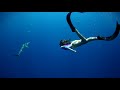 Swimming with Sharks Outside the Shark Cage! - Hawaii (Open Ocean) DALLMYD thumbnail 2