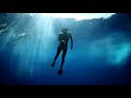 Swimming with Sharks Outside the Shark Cage! - Hawaii (Open Ocean) DALLMYD thumbnail 3