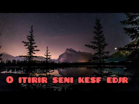 Elvina-Sanki Buz lyrics video