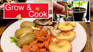 BUDGET MEAL PREP | GROWING MORE FOOD ZERO COST!  #frugalliving