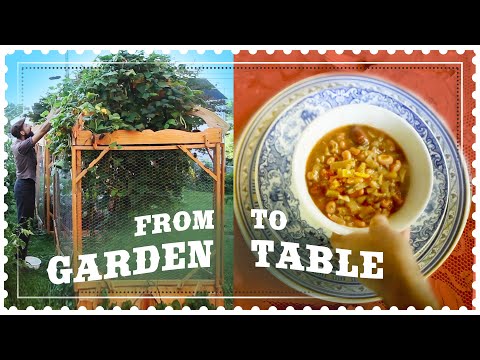 , title : 'Garden Tour Harvest and Recipe - Minestrone Soup'