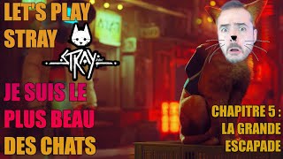 LET'S PLAY COMPLET : STRAY PARTIE 5 - LA GRANDE ESCAPADE !!!