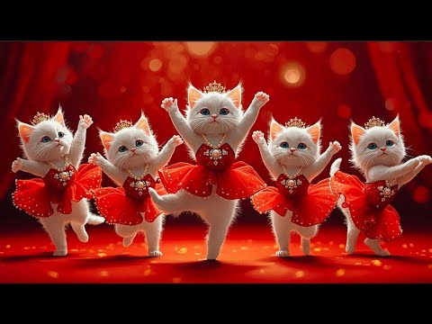 Dudi Dudi Dam Dam 💃💃💃 | Cutest  Cat Dancing On Dudi Dudi Dam Dam😺 #dudidudi #dumdum #catdancing