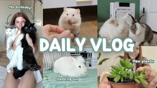 Gentle Handling and Taming Techniques for Pocket Pets