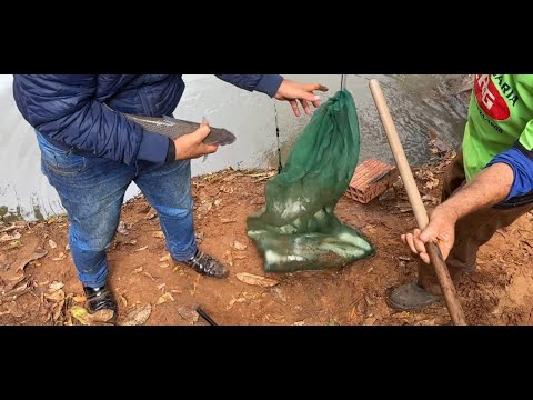 PESCARIA NO RIO SAPUCAI - SÃO JOSÉ DA BELA VISTA - Moda de Viola