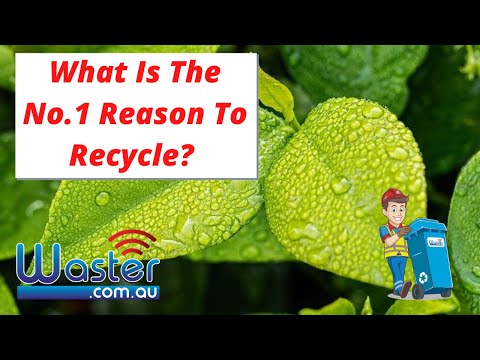 What Is The Best Reason To Recycle ♻️? Why We Should Recycle
