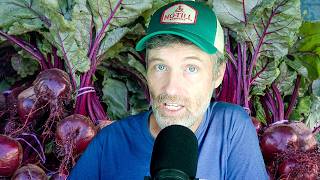 Fall Beet Breakdown (Beetdown?) + Cover Crops for Compost Fodder